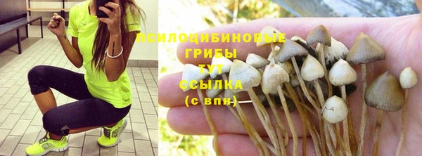 ALPHA PVP Белокуриха