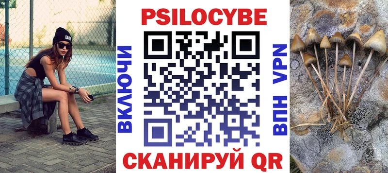 Псилоцибиновые грибы ЛСД где найти наркотики МЕГА как зайти Малая Вишера